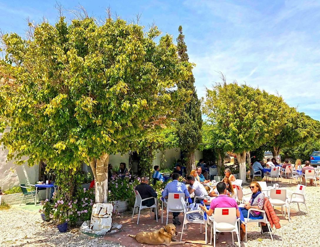 Hotel Hospederia Restaurante Tarin Los Canos De Meca Zewnętrze zdjęcie