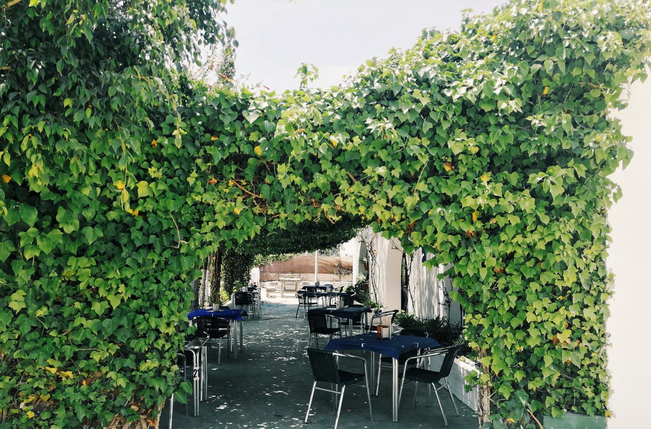 Hotel Hospederia Restaurante Tarin Los Canos De Meca Zewnętrze zdjęcie